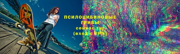 a pvp Алексин