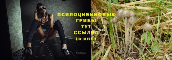 a pvp Алексин