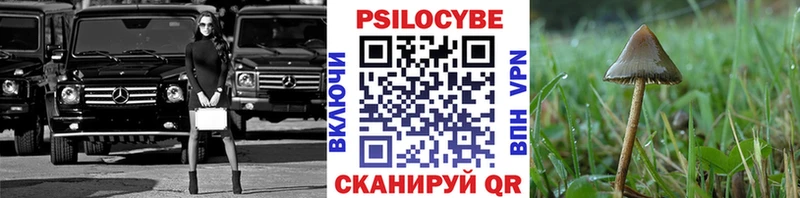 mega вход где продают Кулебаки Галлюциногенные грибы Cubensis